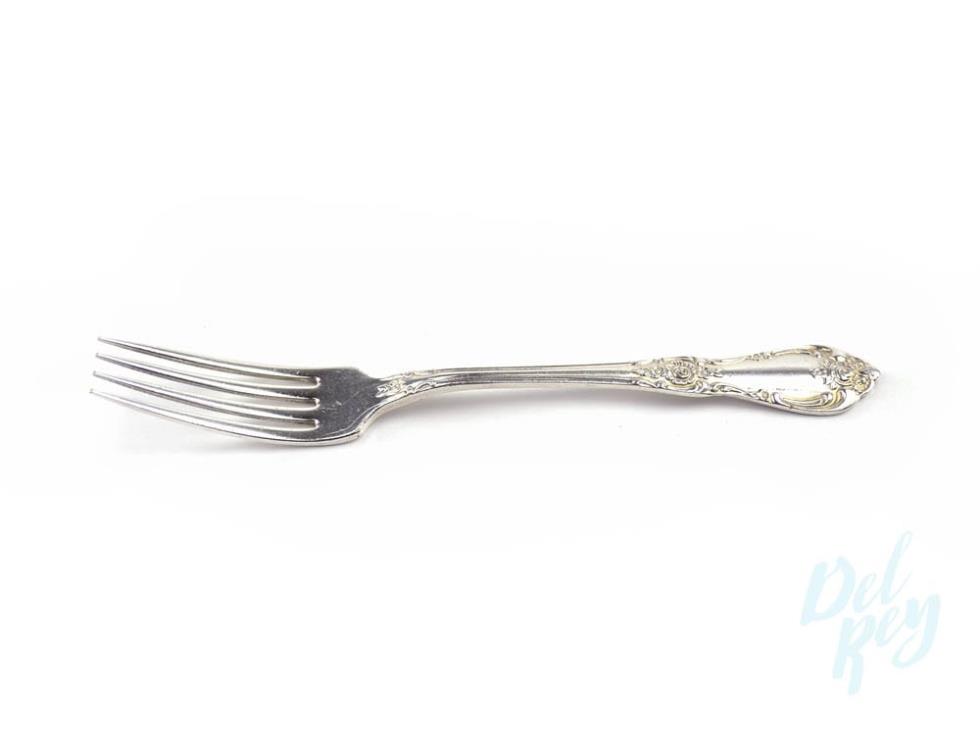 Vanessa Silver Dinner Fork