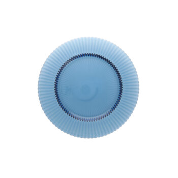 Dinner Plate