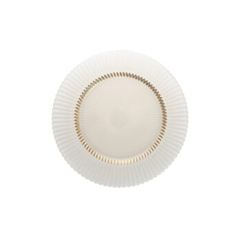 Dinner Plate