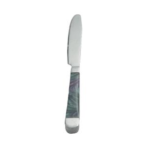 Abalone Shell Stainless Dinner Knife