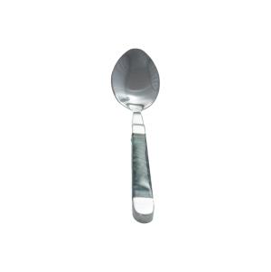 Abalone Shell Stainless Teaspoon