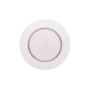 Dinner Plate