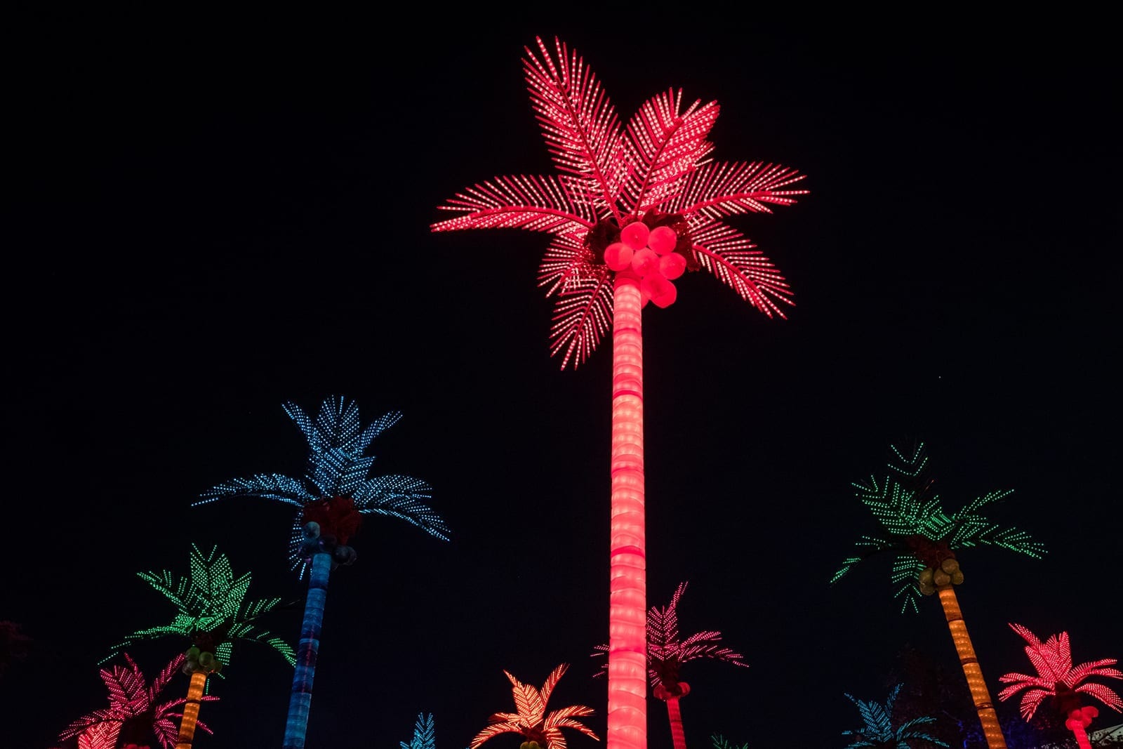 led-lighted-palm-tree