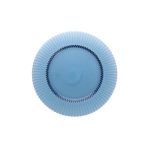 Dinner Plate