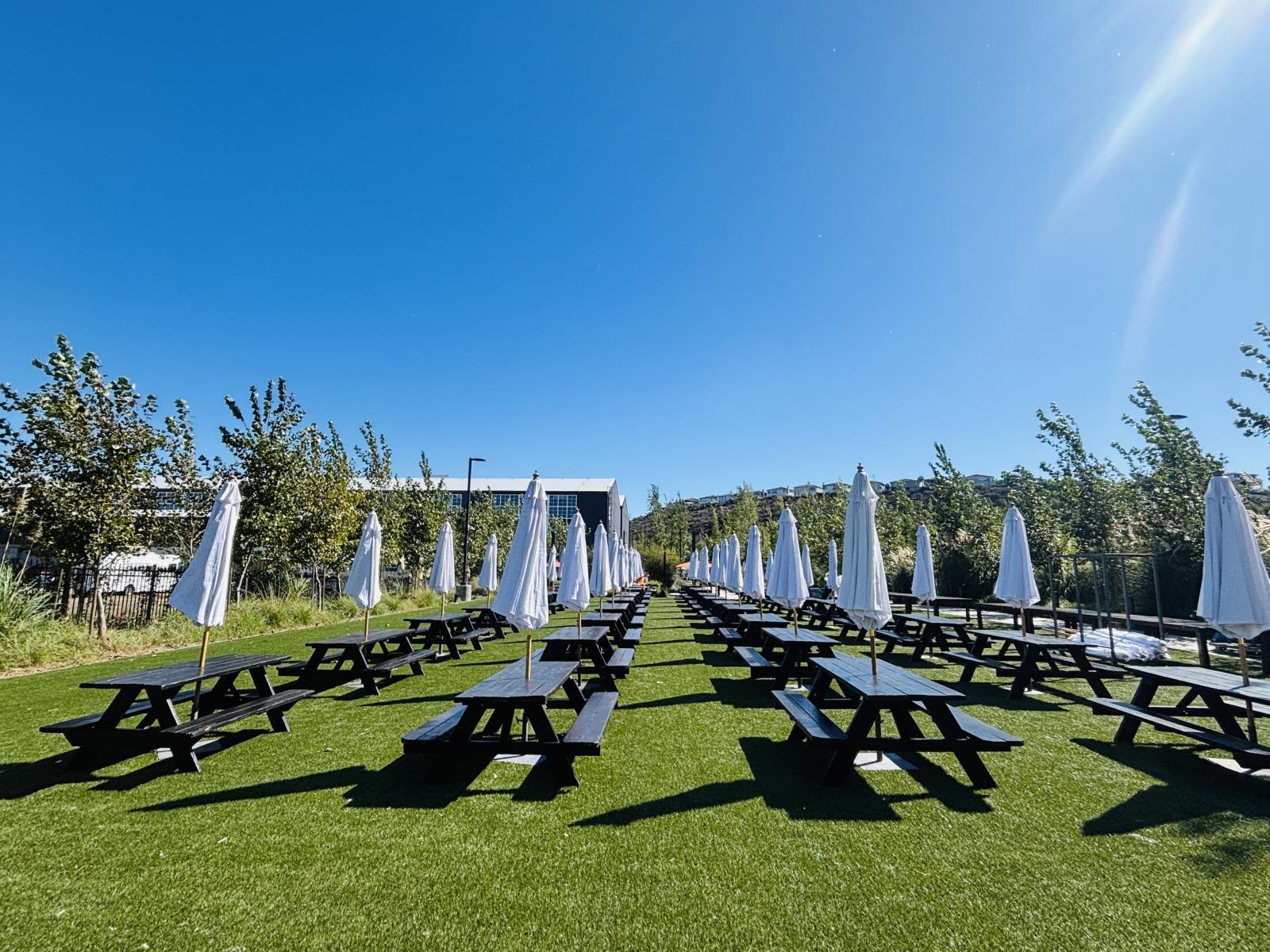 Party Rentals in Calabasas 