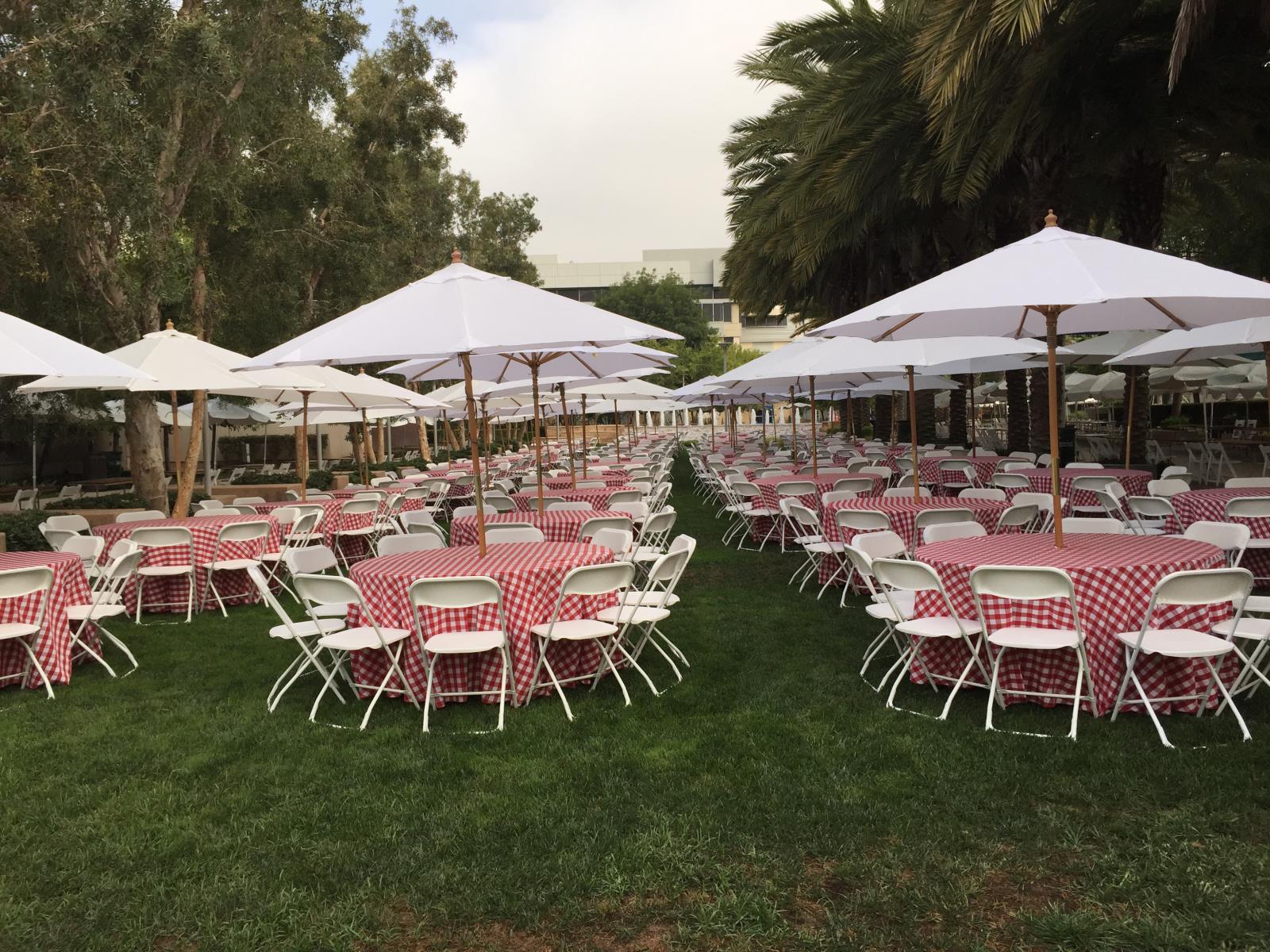 Which Neighborhoods and Areas Does Del Rey Serve Around Santa Monica?